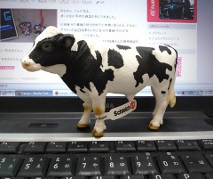牛 牛